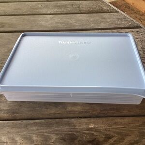 Tupperware Snack-Stor Large Container in Ice Cube color